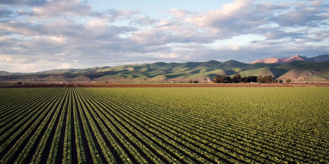 As the sector’s international exposure grows, so does its sensitivity to currency movements, from imported fertiliser, chemicals, fuel and equipment to export proceeds received months later. Photo: Pexels