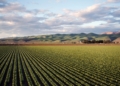 Mastering foreign exchange: Smart strategies for SA agri exporters