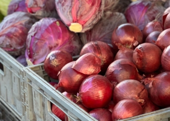 How SA farmers can crack retail and unlock market access