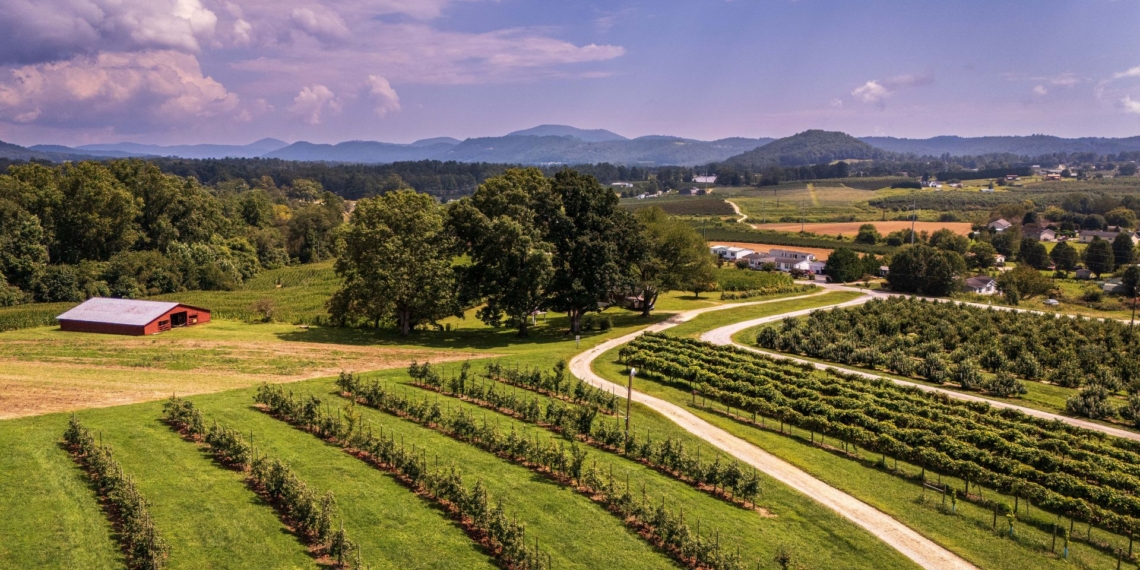 Agritourism continues to flourish in South Africa, though only in certain areas. Photo: Pexels