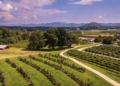 Agritourism experts urge fair distribution of SA’s tourism boom
