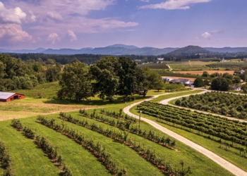 Agritourism experts urge fair distribution of SA’s tourism boom