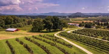 Agritourism experts urge fair distribution of SA’s tourism boom