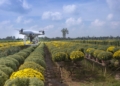 Four major risks SA farmers can’t afford to ignore