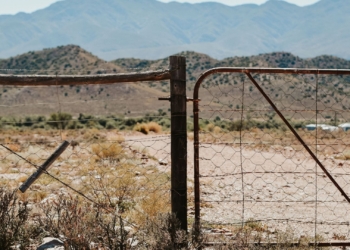 Stronger rural policing needed to protect lives and livelihoods