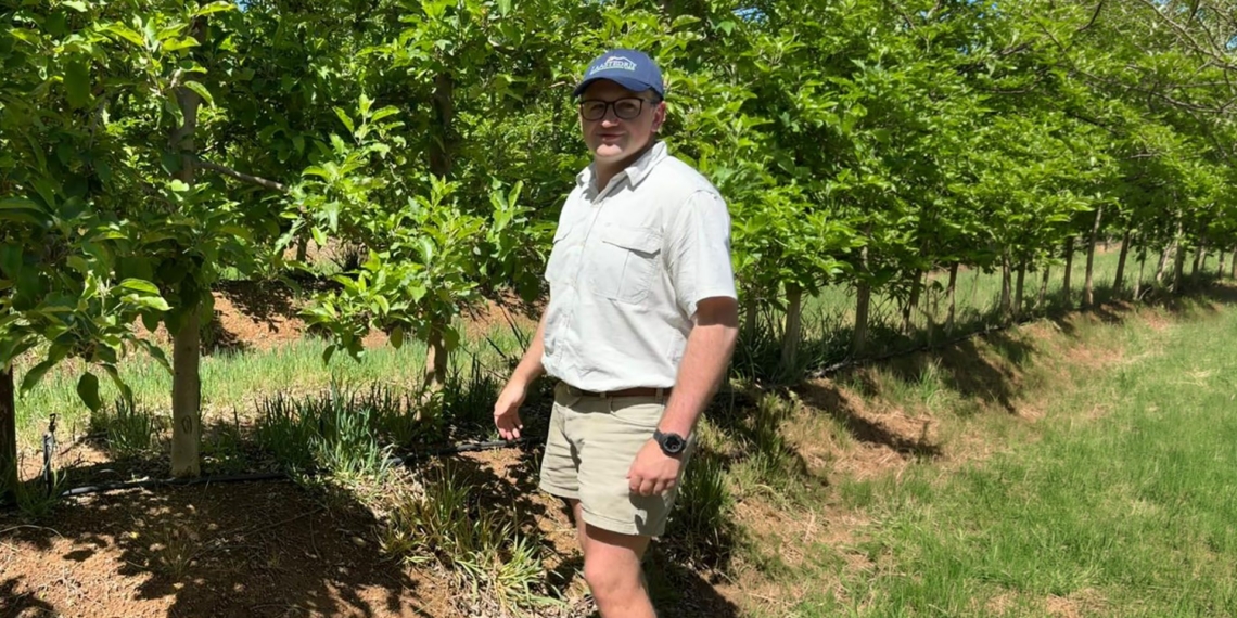 Daniël Cillie from Laastedrift Agri in one of their BigBucks Gala orchards. Photo: Tru-Cape