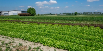 Farmers urge urgent support for resilient local supply chains