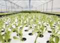 This week’s agri events: 19 – 23 October