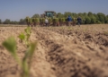 Africa’s indigenous crops and youth are the secret to ending hunger