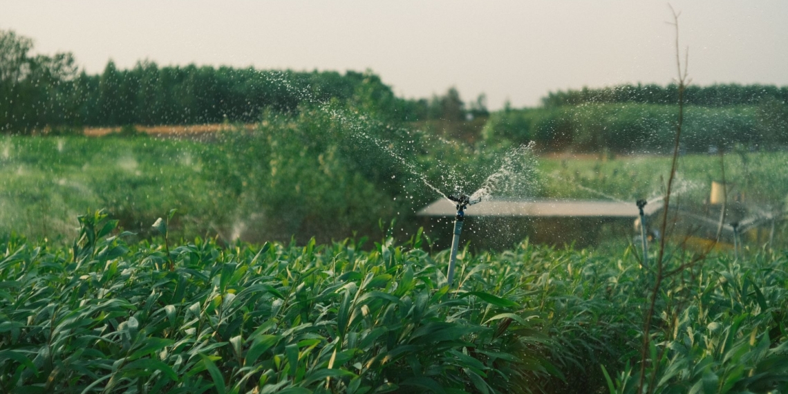 Water licenses and rights are critical in a farming operation, so join the webinar this week to learn more. Photo: Pexels