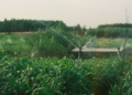 This week’s agri events: 26 – 30 October