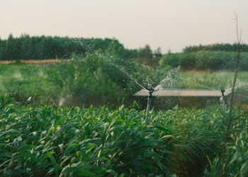 This week’s agri events: 26 – 30 October