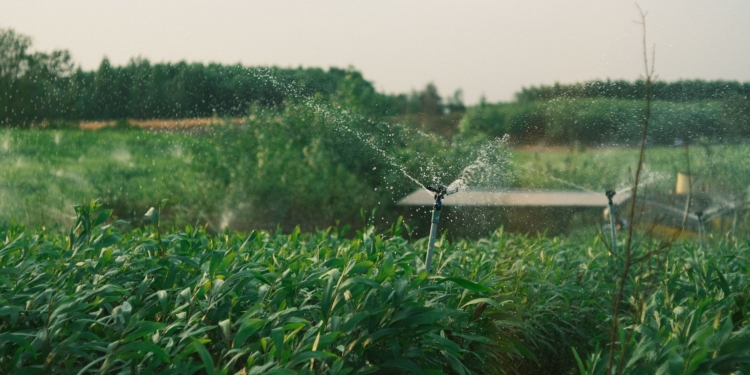 Water licenses and rights are critical in a farming operation, so join the webinar this week to learn more. Photo: Pexels