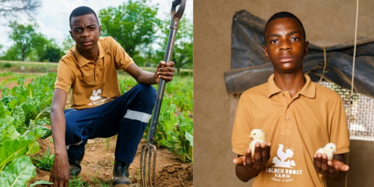 Njombo Chabangu started Golden Roost Farm in Lulekani, Phalaborwa, Limpopo, in 2025 at the age of 13. Photos: Golden Roost Farm