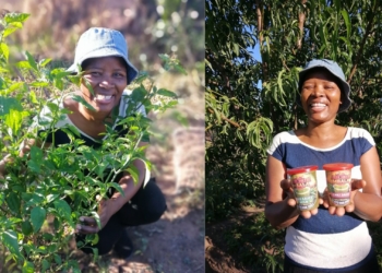 Mpumalanga agripreneur bottles family wisdom one chilli at a time