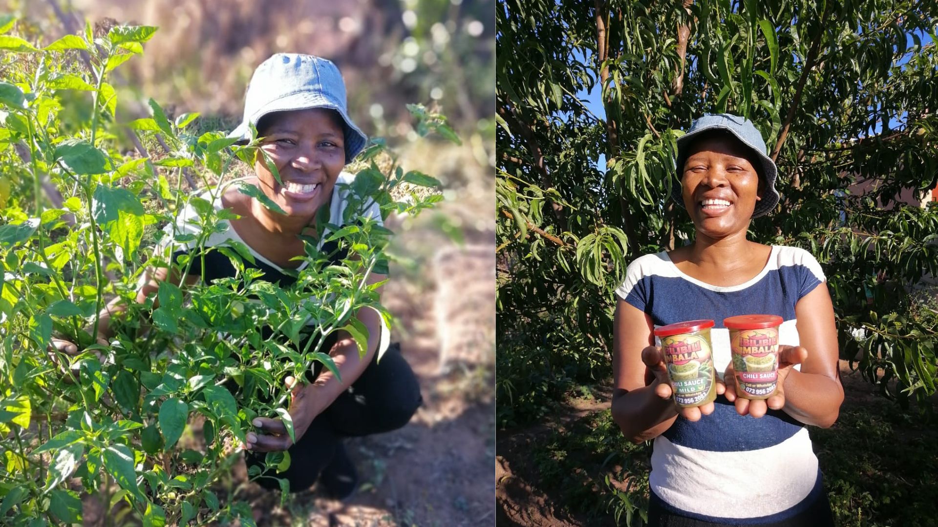 Mpumalanga agripreneur bottles family wisdom one chilli at a time